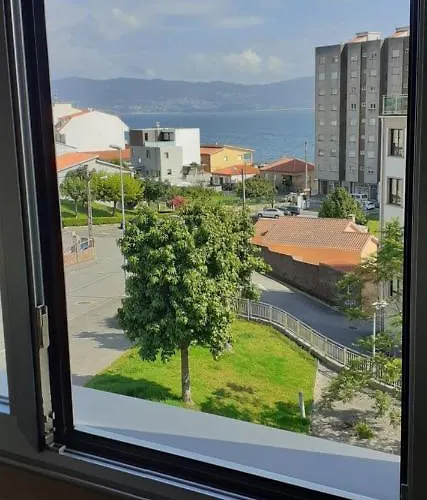 Florida 2023 Apartment